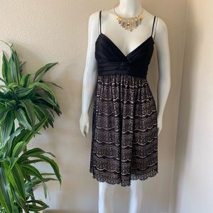 Max And Cleo Tea Lace Dress